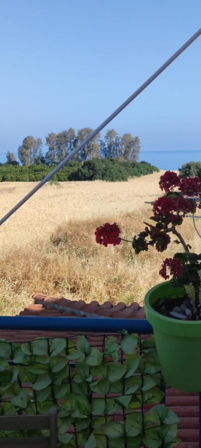 Thalassa Seaside Boutique Apartment Polis