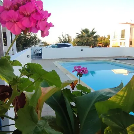 Thalassa Seaside Boutique Beach Apartment Polis Exterior photo